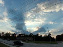 Vet Med Animal Hospital - Photo 7 - Car repair in Lafayette, LA, Lafayette
