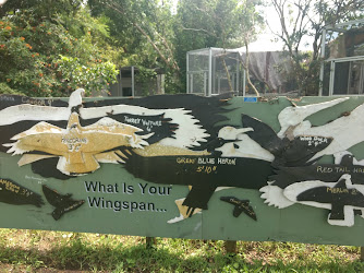 Sawgrass Nature Center & Wildlife Hospital