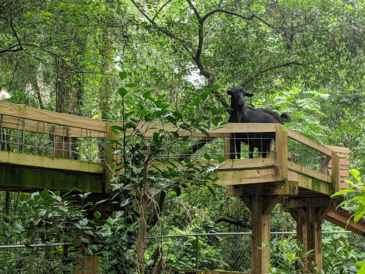 Nature Preserve «Tree Hill Nature Center», reviews and photos, 7152 Lone Star Rd, Jacksonville, FL 32211, USA