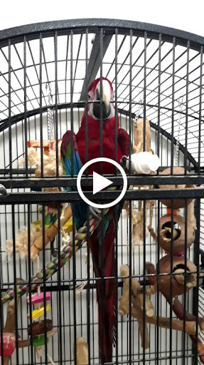 Pet Store «Pet World - Auburndale», reviews and photos, 3637 Havendale Blvd, Auburndale, FL 33823, USA