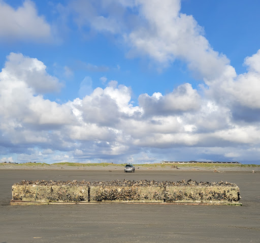 Public Golf Course «Ocean Shores Golf Course», reviews and photos, 500 Canal Dr NE, Ocean Shores, WA 98569, USA