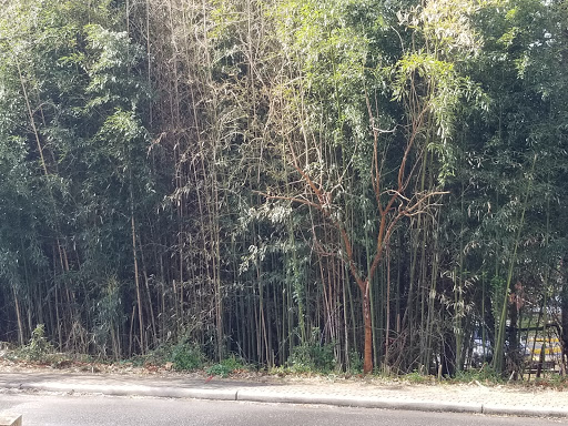 Memorial Park «Ox Hill Battlefield Park», reviews and photos, 4134 West Ox Rd, Fairfax, VA 22033, USA