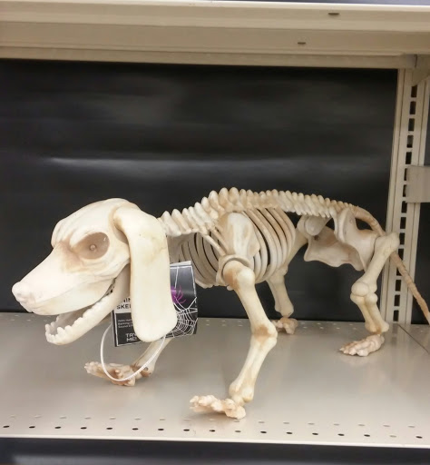 Discount Store «Big Lots», reviews and photos, 2100B SE 164th Ave e, Vancouver, WA 98683, USA