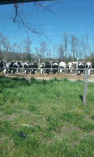 Bed & Breakfast «Covered Bridge Inn», reviews and photos, 30249 Fisher Rd, Lewes, DE 19958, USA