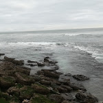 Photo n°3 de l'avis de Helena.o fait le 19/02/2020 à 09:31 sur le  Adamastor Praia Parede à Parede