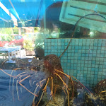 Photo n°2 de l'avis de Italo.u fait le 08/07/2022 à 15:15 sur le  Michelino Fish à Ostia