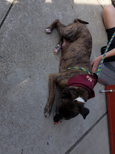 Pet Supply Store «Pet Valu», reviews and photos, 5007 Honeygo Center Dr, Perry Hall, MD 21128, USA