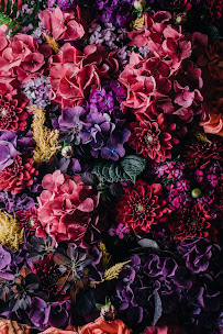 Staley Sednaoui, MS - Photo 2 - Car repair in , Trenton