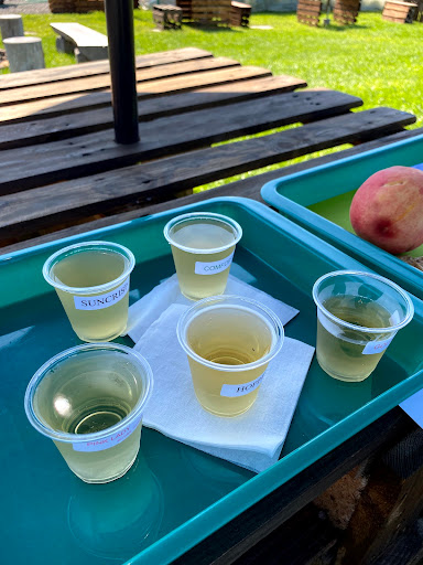 Farm «Manoff Market Gardens», reviews and photos, 3157 Comfort Rd, Solebury, PA 18963, USA