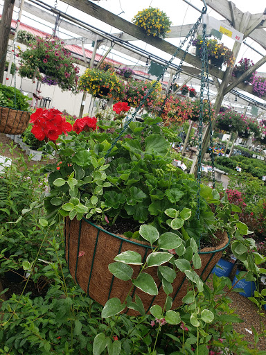 Hardware Store «Ace Hardware», reviews and photos, 119 Beck Ln, Lafayette, IN 47909, USA