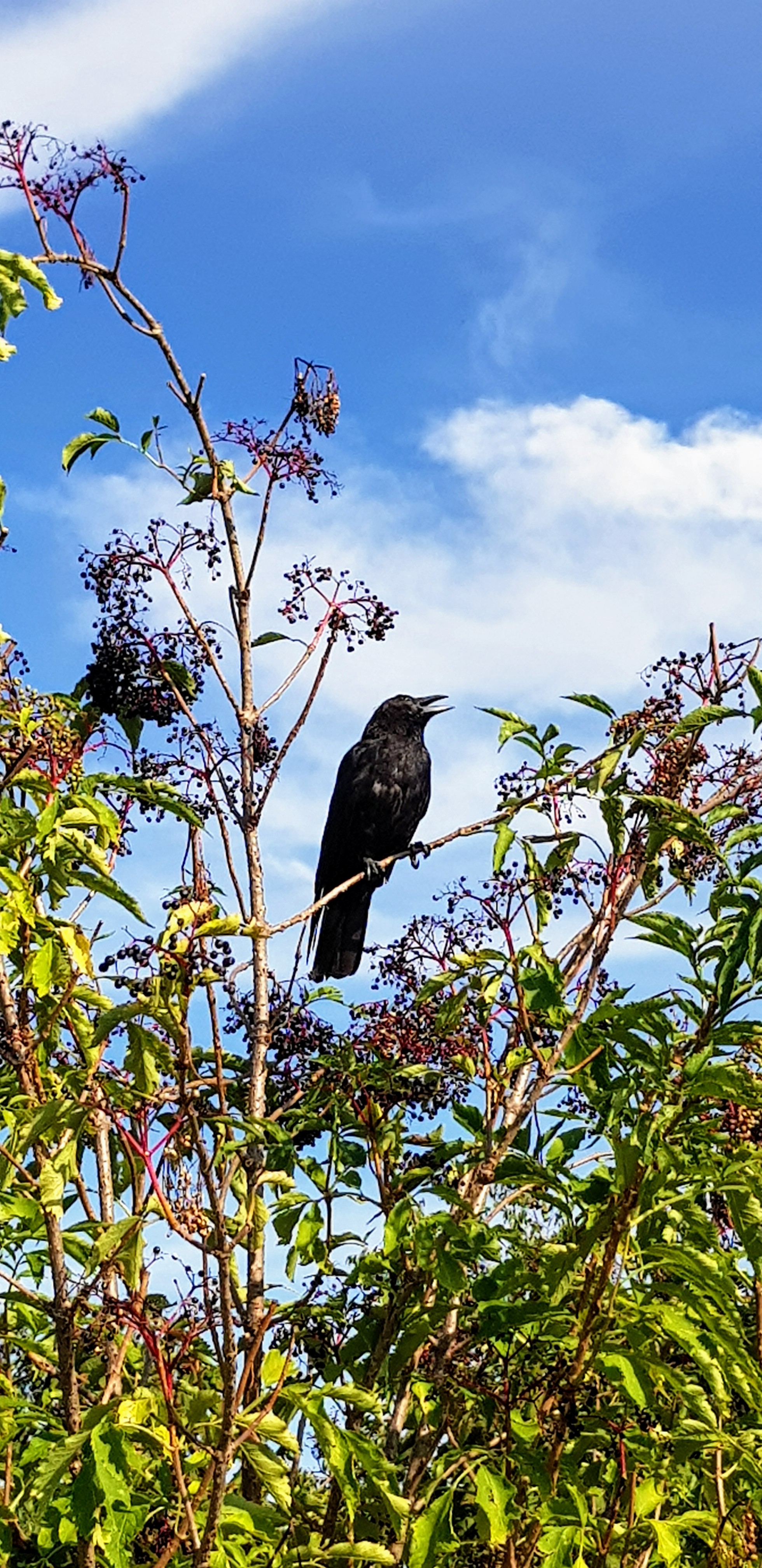 Photo n° 1 de l'avis de Kichum.o fait le 24/08/2019 à 17:42