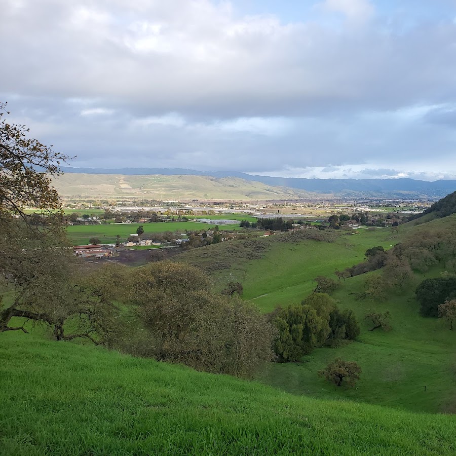 Coyote Valley Open Space Preserve