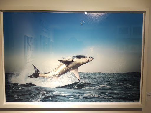 Book Store «TASCHEN Store New York», reviews and photos, 107 Greene St, New York, NY 10012, USA