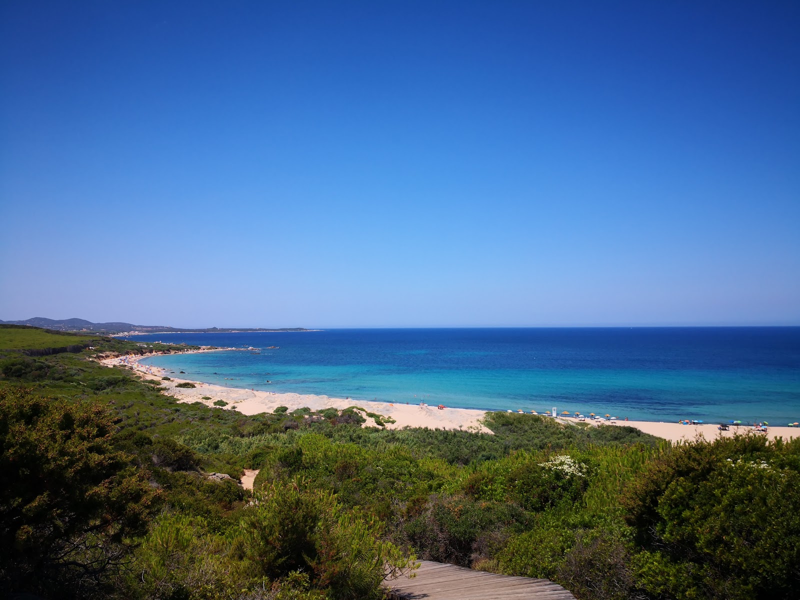 Photo of Lido Dog Beach amenities area