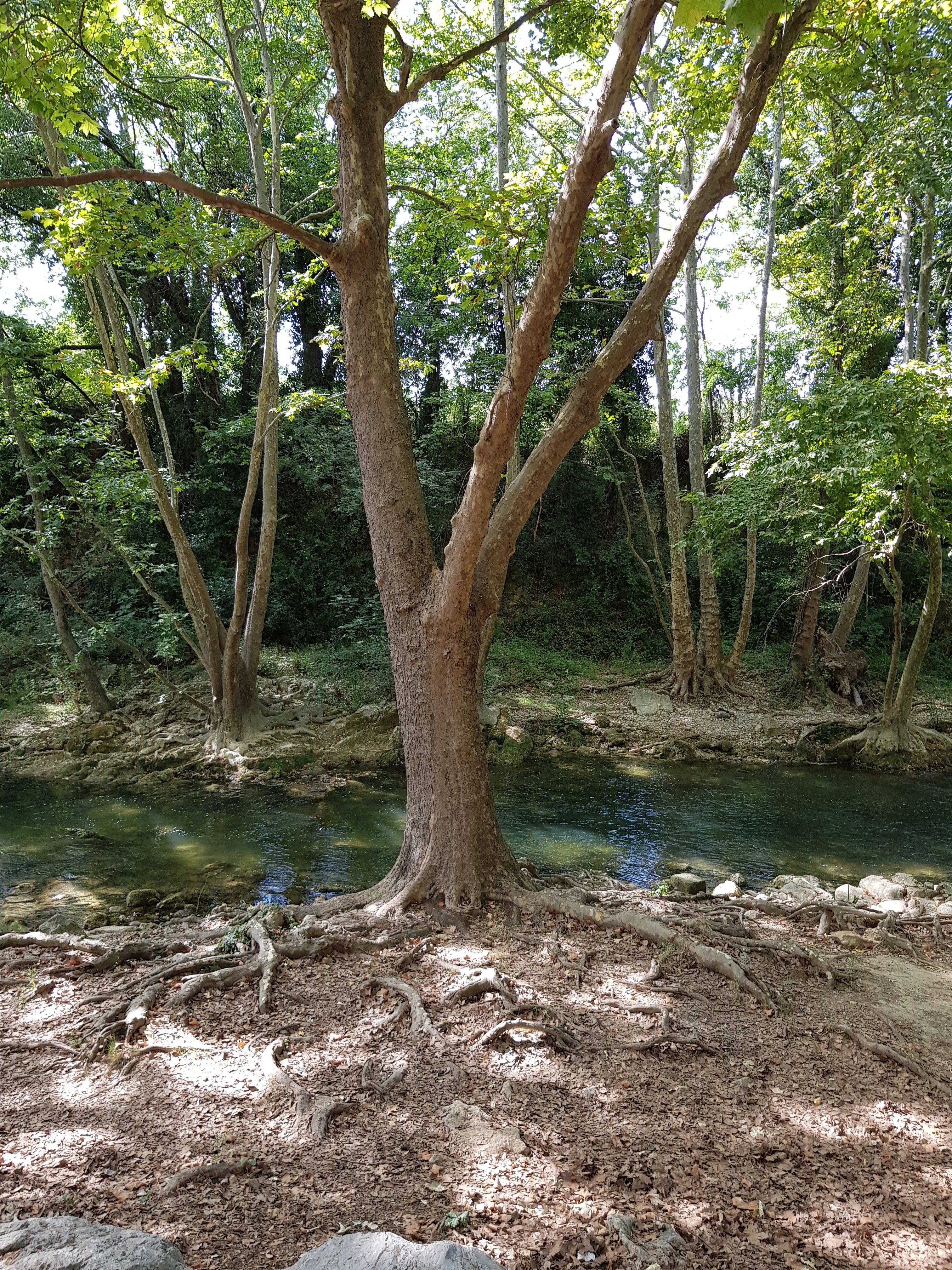 Photo n° 6 de l'avis de Bruno.S fait le 06/08/2019 à 15:24