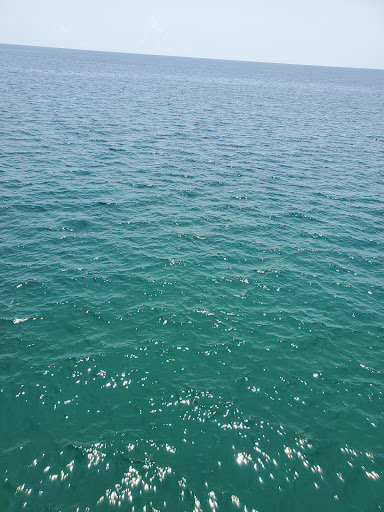 Zoo «ZooWorld Zoological and Botanical Conservatory», reviews and photos, 9008 Front Beach Rd, Panama City Beach, FL 32407, USA