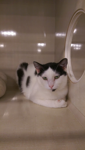 Pet Supply Store «Petco Animal Supplies», reviews and photos, 2277 Ford Pkwy, St Paul, MN 55116, USA