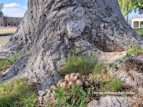 T J Hardware Inc - Photo 8 - Car repair in Albuquerque, NM, Albuquerque