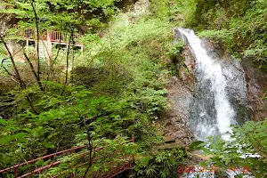 Muso no Taki (Dream Waterfalls) image