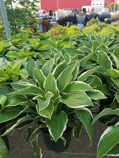 Garden Center «Blooms at Belle Mead», reviews and photos, 1980 US-206, Belle Mead, NJ 08502, USA