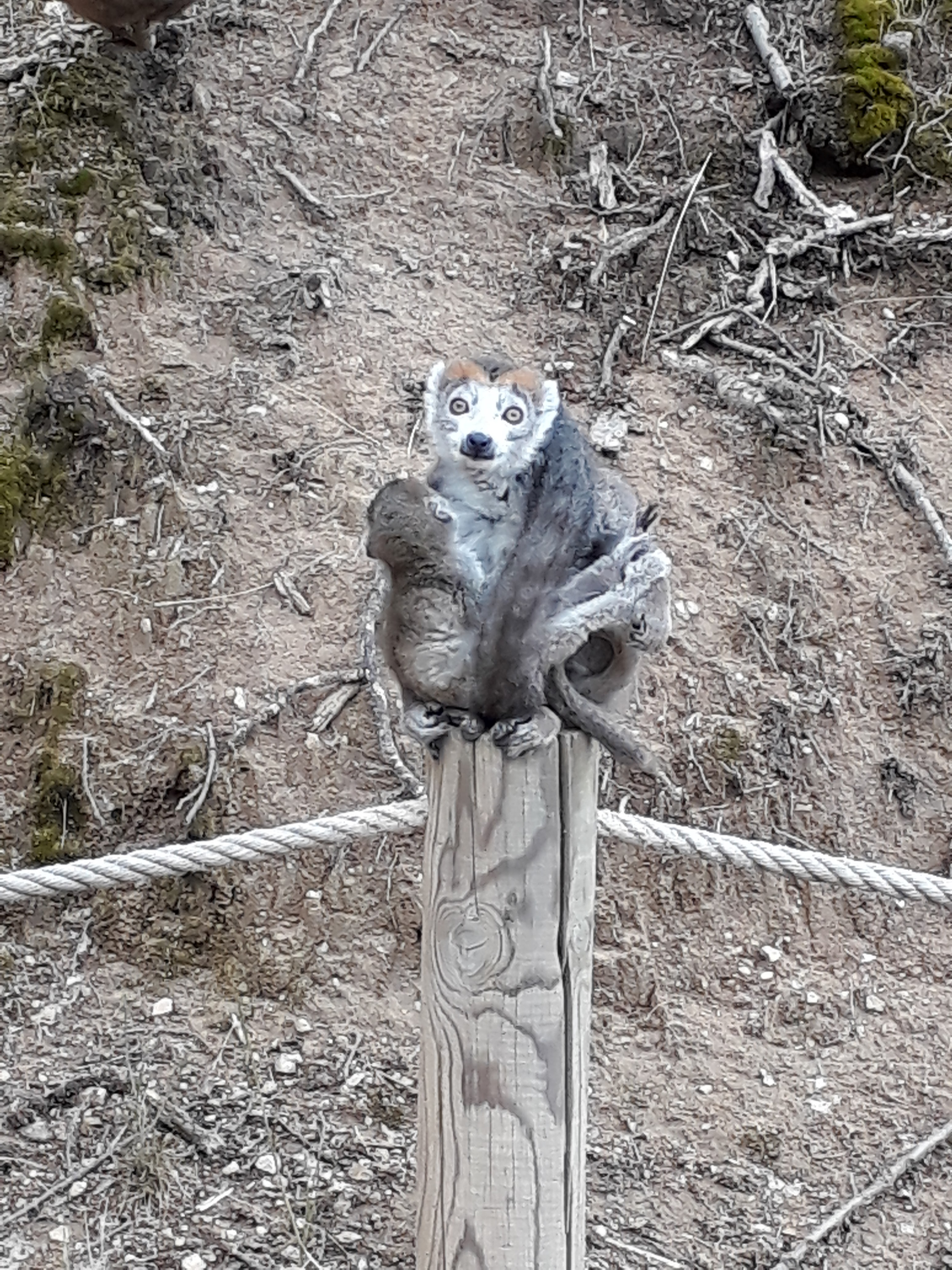 Photo n° 32 de l'avis de Stef.e fait le 15/08/2018 à 14:06