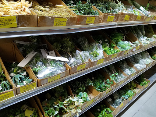 Craft Store «Dealers Discount Crafts & Florals», reviews and photos, 8199 E 10 Mile Rd, Center Line, MI 48015, USA