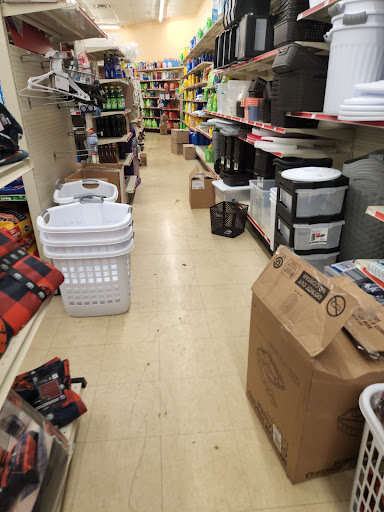 Dollar Store «FAMILY DOLLAR», reviews and photos, 2561 E Sauk Trail, Sauk Village, IL 60411, USA