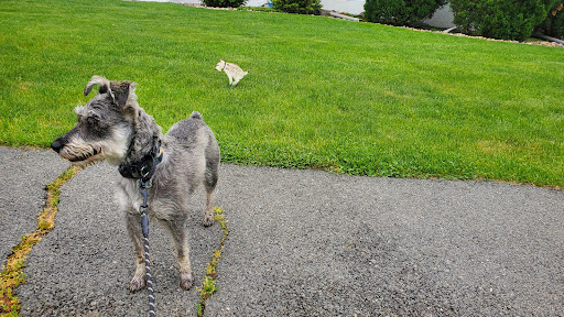 Hearts and Tails Animal Alliance