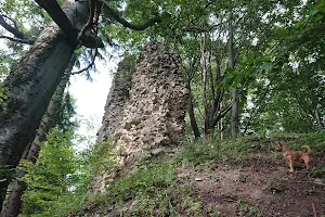 Castle Kynžvart image