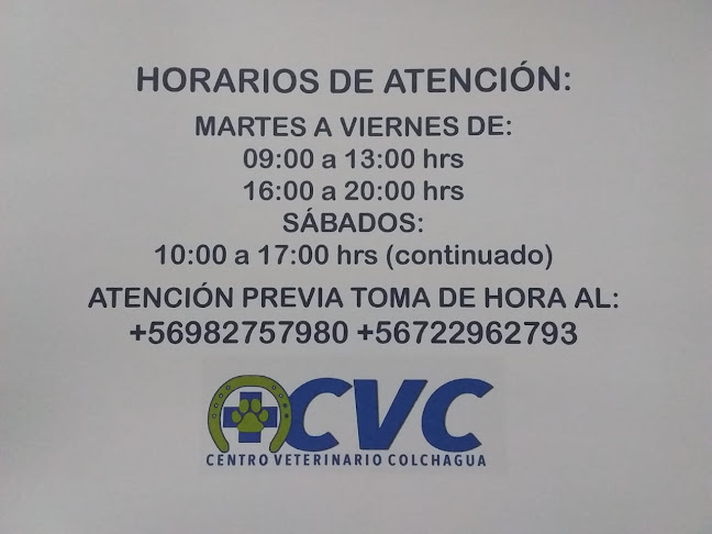 Opiniones de Centro Veterinario Colchagua en San Fernando - Veterinario