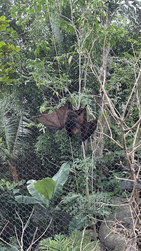 Zoo «Rainforest Pyramid», reviews and photos, 1 Hope Blvd, Galveston, TX 77554, USA