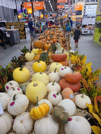 Home Improvement Store «The Home Depot», reviews and photos, 1524 E Brandon Blvd, Brandon, FL 33511, USA