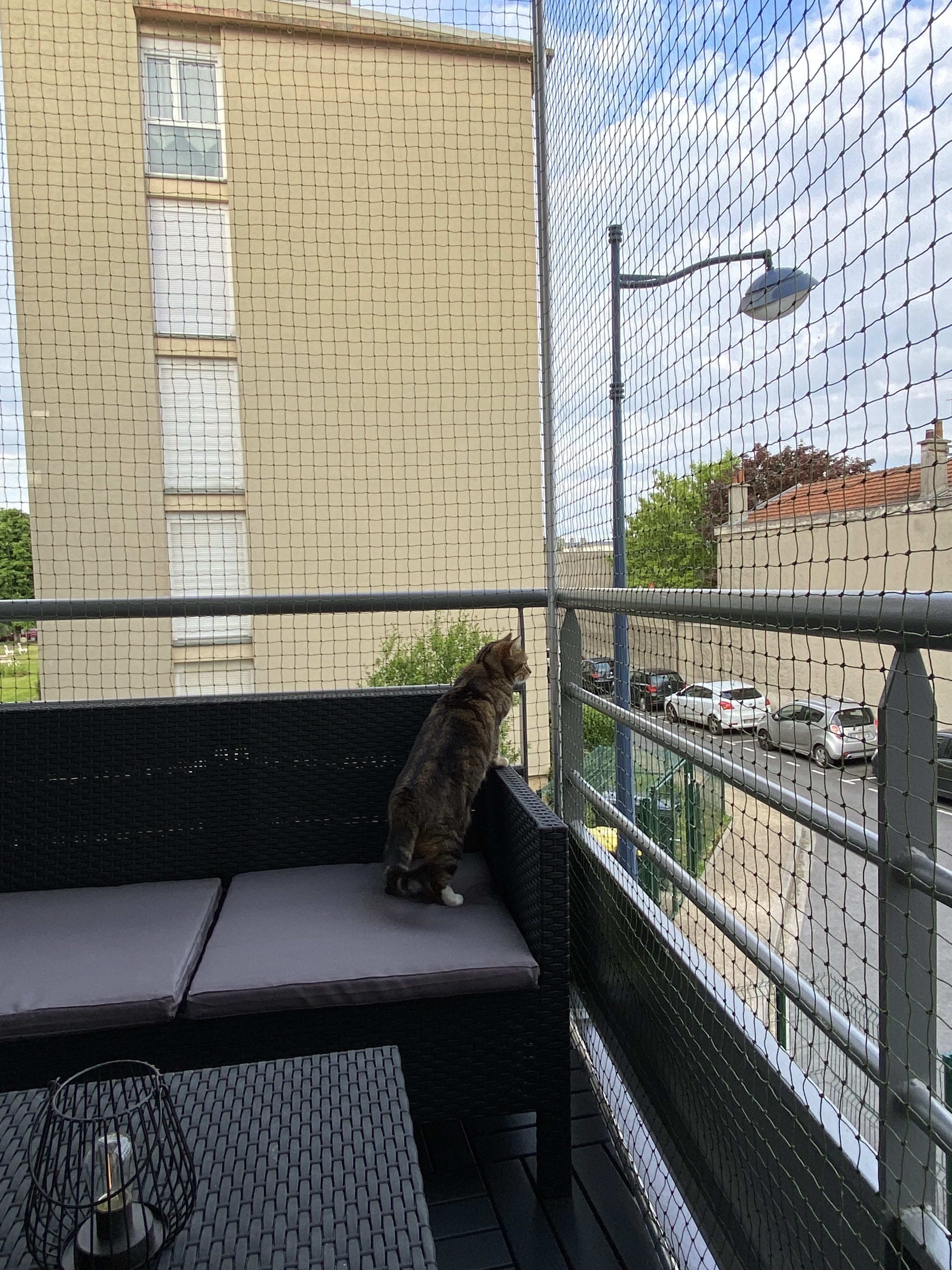 Photo n° 2 de l'avis de Mélanie. fait le 22/05/2023 à 10:03