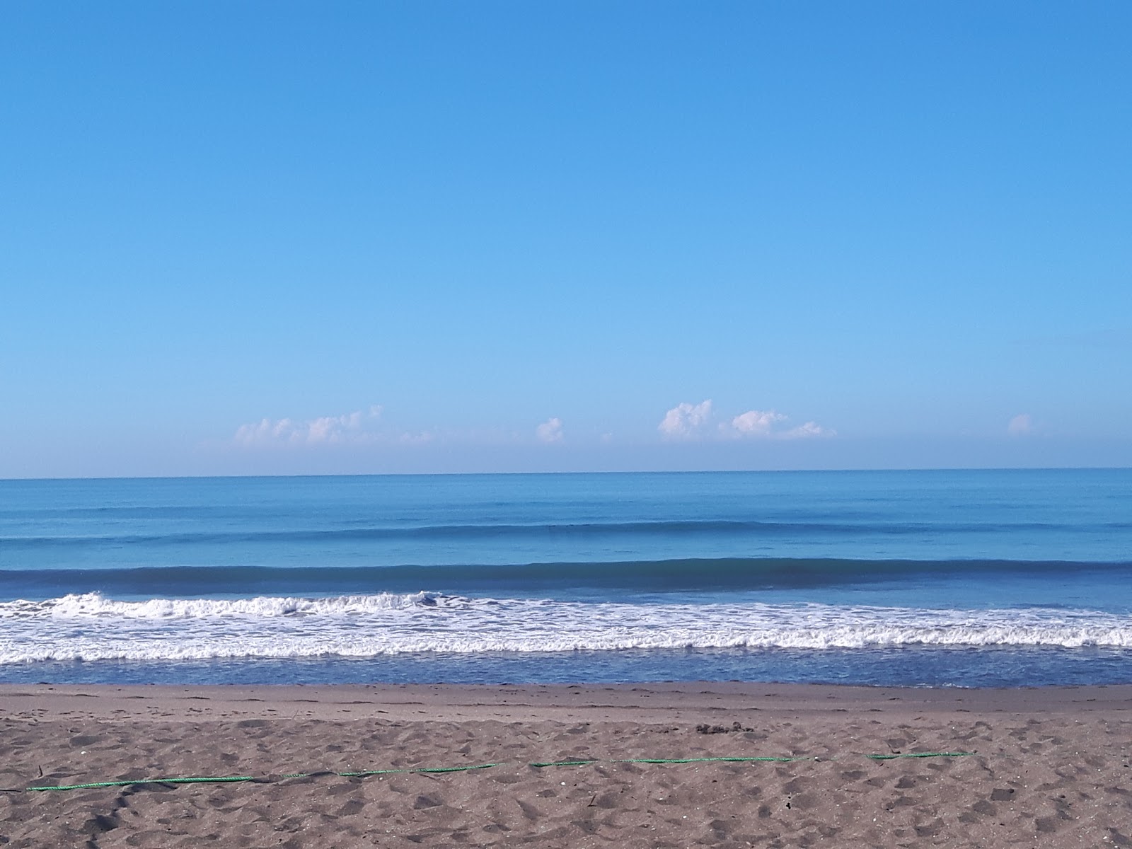 Surfing Turtle beach'in fotoğrafı imkanlar alanı