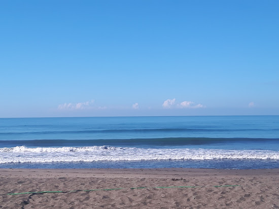 Surfing Turtle beach