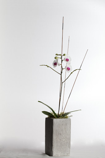 Florist «Flowers in Flight», reviews and photos, 1413 NE Alberta St, Portland, OR 97211, USA