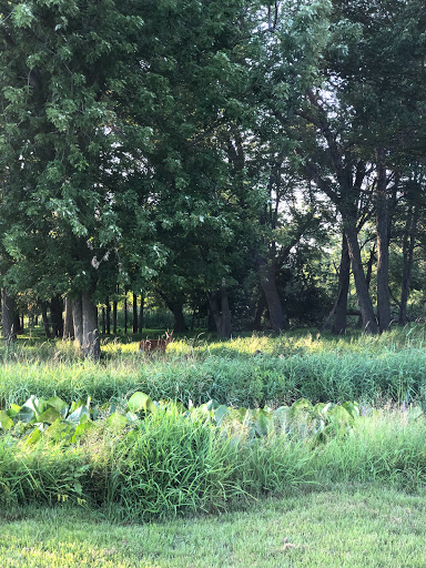 Golf Course «Galloping Hill Park and Golf Course», reviews and photos, 3 Golf Dr, Kenilworth, NJ 07033, USA