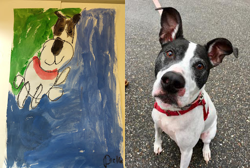 Animal Shelter «Heritage Humane Society», reviews and photos