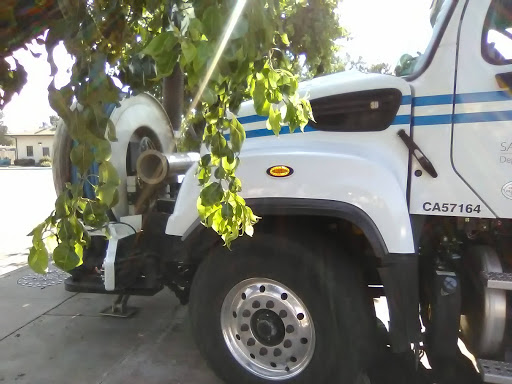 Shopping Mall «Fruitridge Shopping Center», reviews and photos, 5657 Stockton Blvd, Sacramento, CA 95824, USA