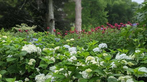 Heritage Museum «Heritage Museums & Gardens», reviews and photos, 67 Grove St, Sandwich, MA 02563, USA