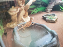 PetSmart Grooming - Photo 5 - Car repair in San Antonio, TX, San Antonio