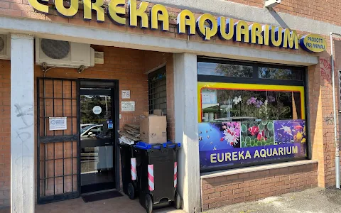 Eureka Aquarium - negozio di acquari, pesci, piante acquatiche, laghetti, accessori image