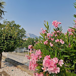 Photo n°6 de l'avis de Jean-Luc.o fait le 24/08/2023 à 20:25 sur le  Hotel Vallisdea à Sala Consilina