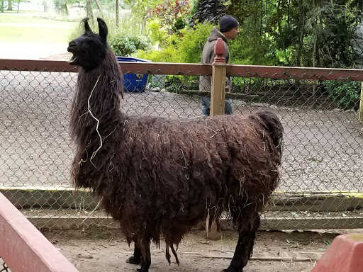 Zoo «3 Palms Zoo & Education Center», reviews and photos, 924 Blackbird Forest Rd, Clayton, DE 19938, USA