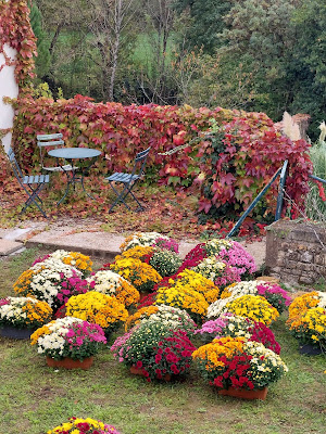 JARDIFLOR à Sainte-Hermine