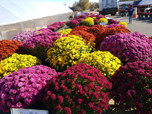 Produce Market «Miller Farms», reviews and photos, 10140 Piscataway Rd, Clinton, MD 20735, USA