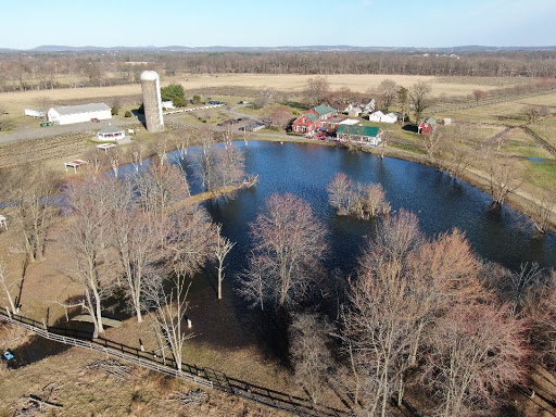 Winery «Doukenie Winery», reviews and photos, 14727 Mountain Rd, Purcellville, VA 20132, USA