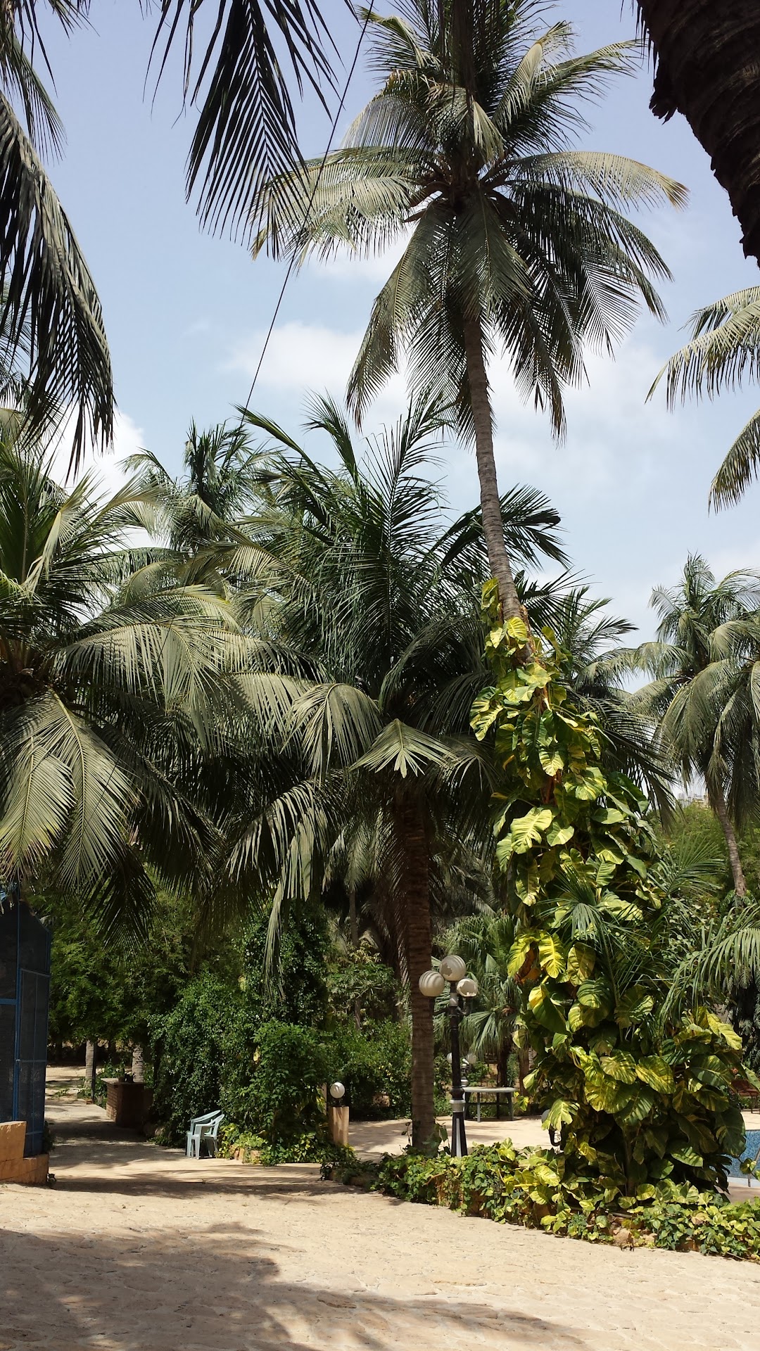 Coconut Garden Naryal Bagh