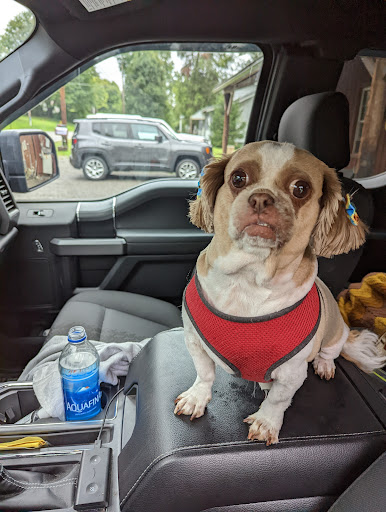 A Loving Touch Pet Parlor