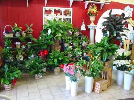 Florist «Petite II Florist», reviews and photos, 3268 Hempstead Turnpike, Levittown, NY 11756, USA